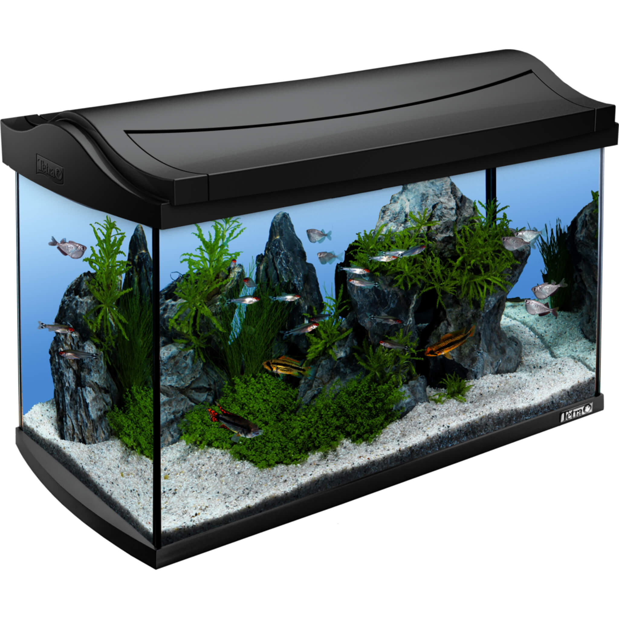 Aquarium high quality 60L mit Zubehör