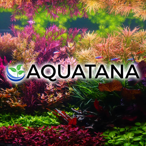 Kostenloser Versand: Neuer Service bei AQUATANA