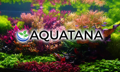 AQUATANA - Produkte aus der AQUATANA Linie