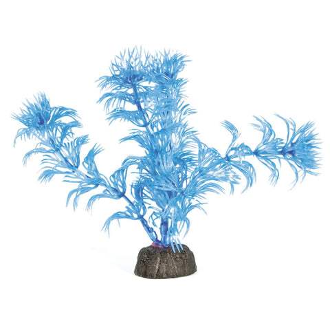 Amazonas Fantasy Plant Nano Blau