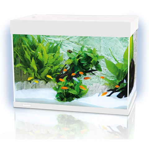 Amazonas LED Aquarium F78 Weiss