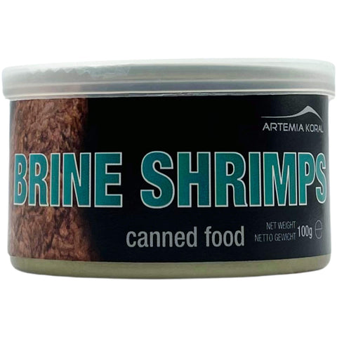 Artemia Koral Brine Shrimps