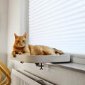 Ebi Katzen Fensterbett KYO