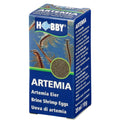 Hobby Artemia Eier