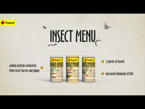 Tropical Insect Menu