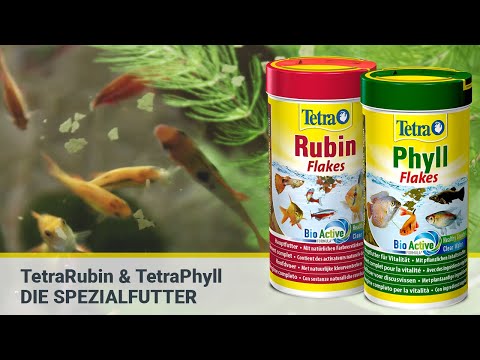 Tetra Phyll Flakes