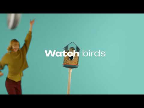 Birdbuddy Futterspender Bird Buddy mit Kamera