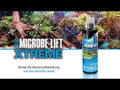 ARKA - Microbe-Lift XTreme Wasseraufbereiter