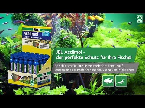 JBL Acclimol Wasseraufbereiter