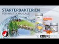 Kobre®Pond Starterbakterien