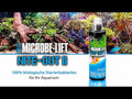 ARKA - Microbe-Lift Nite-Out II Starterbakterien