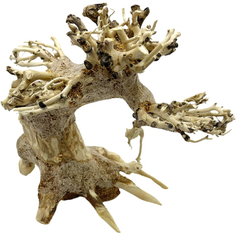 SuperFish Bonsai Driftwood XS