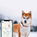 tractive GPS-Tracker LTE für Hunde weiss