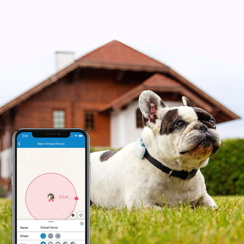 tractive GPS-Tracker LTE für Hunde weiss