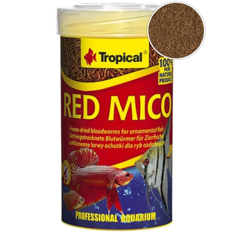 Tropical Red Mico - Rote Mückenlarven