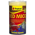 Tropical Red Mico - Rote Mückenlarven