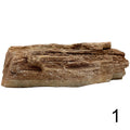 Versteinertes Holz 1